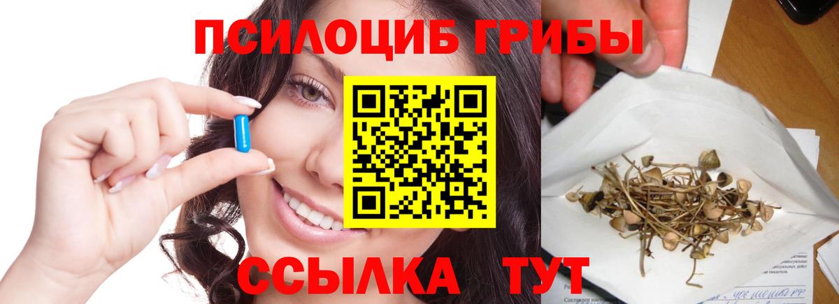 Ступино  Псилоцибиновые грибы Magic Shrooms  Вход с VPN 